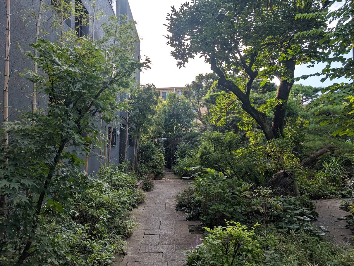 Stone path through lush garden greenery