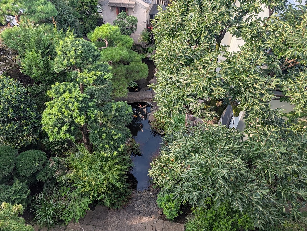 Aerial view of the Japanese koi pond garden